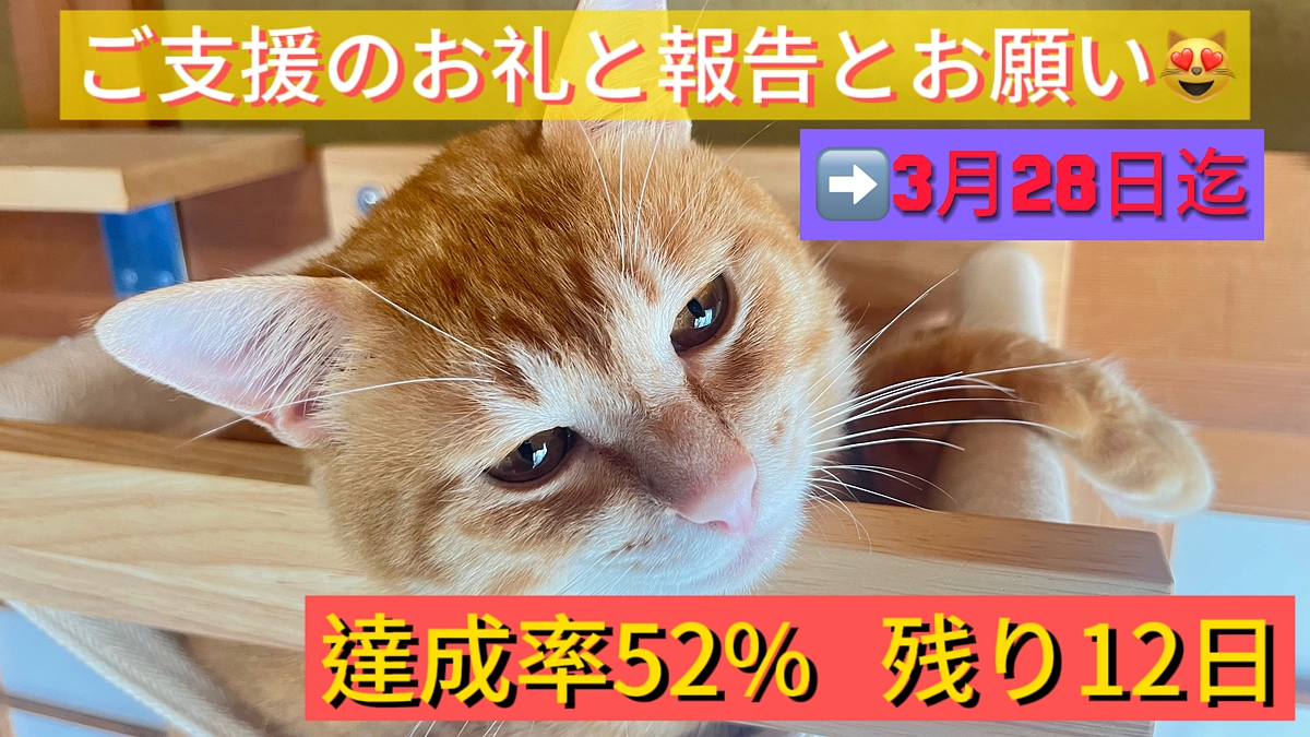ご支援のお礼と報告とお願い（3/16）