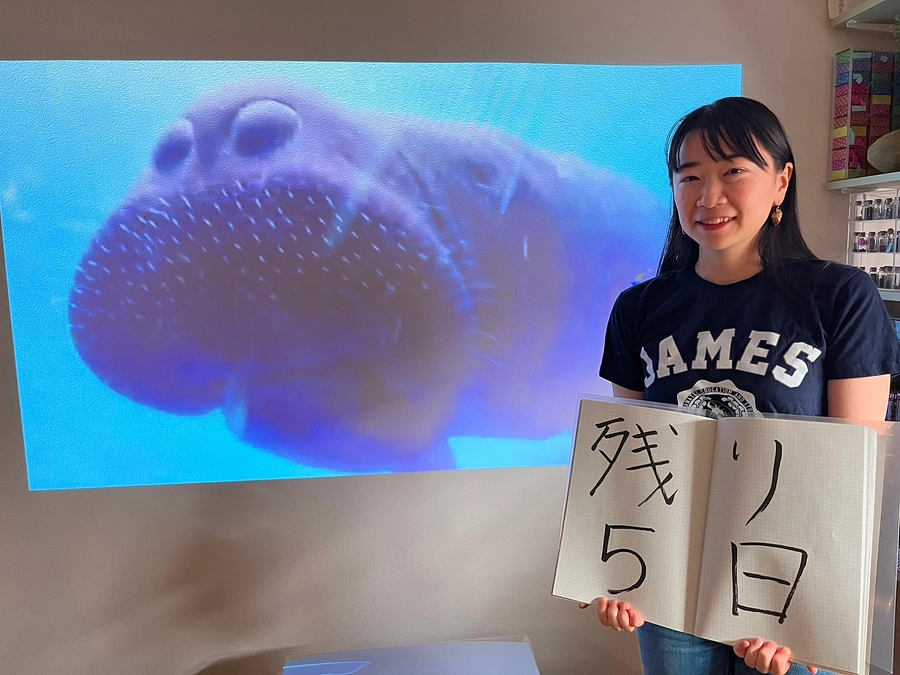 あと5日！ネクストゴール目指します！