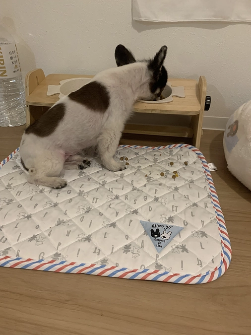 ずっと咳してます😣💦💦