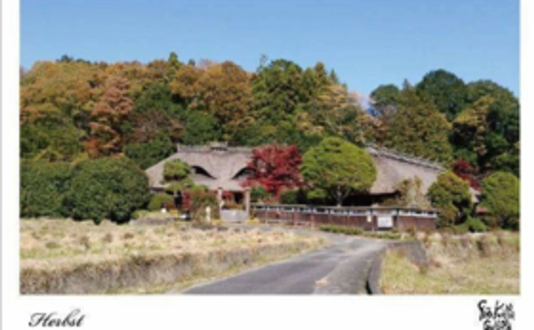 感謝の気持ちを込めてポストカードをお送りします