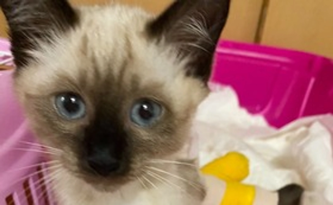 ご支援よろしくお願いします2