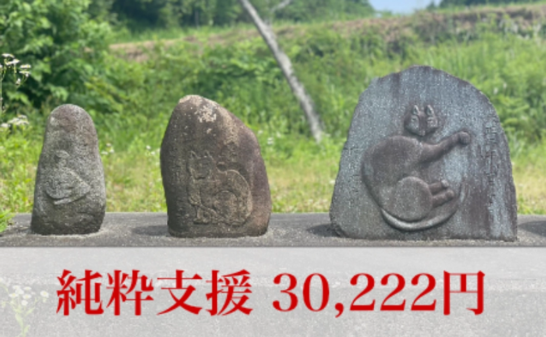 純粋支援コース｜30,222円