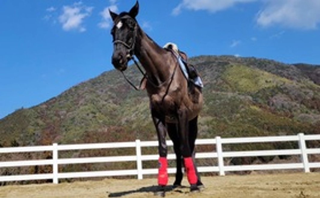 リターン不要 感謝のメール