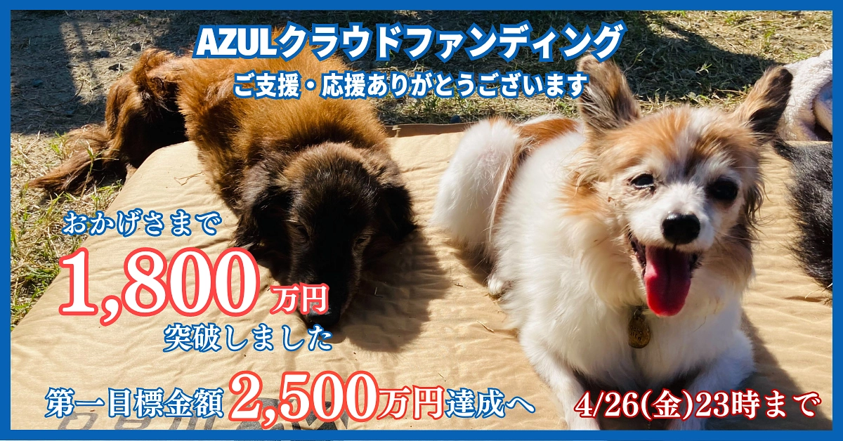 クラウドファンディング終了日まで残すところ11日となりました！！