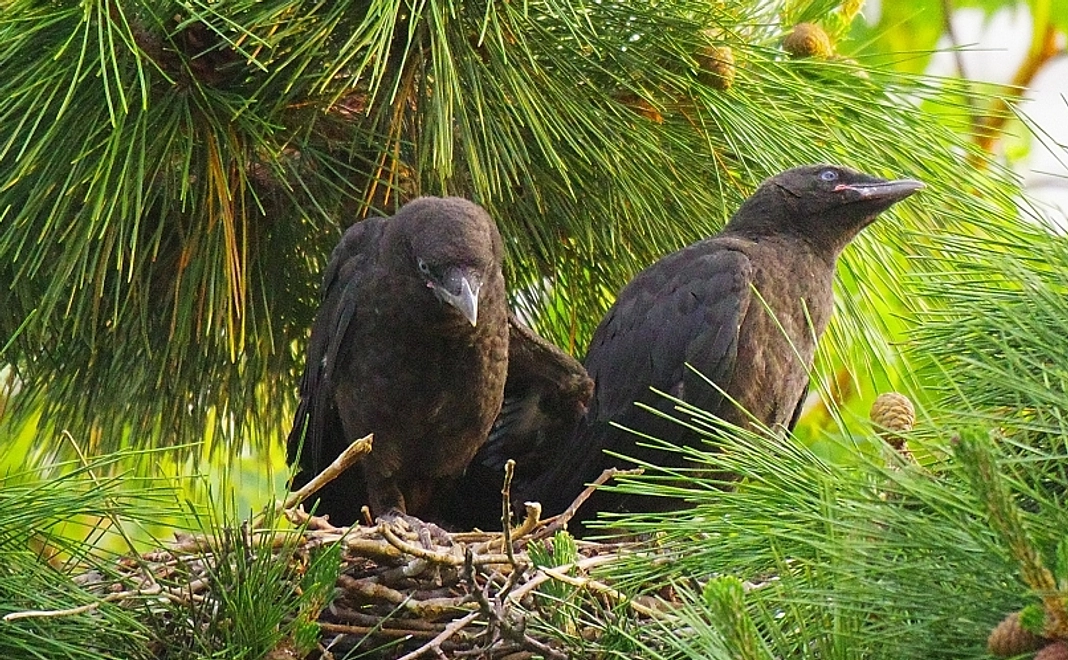 画像付き感謝のメールをお送りいたします。Vol2