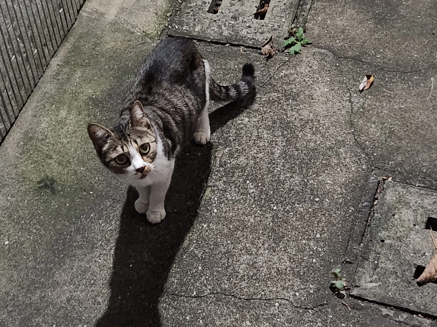 第一目標達成しました<(_ _)>