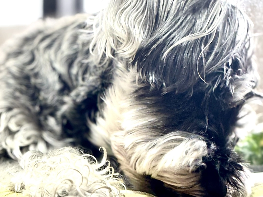 今日は調子悪いみたいです。。