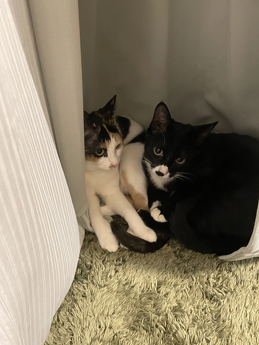 飲み薬開始その7！