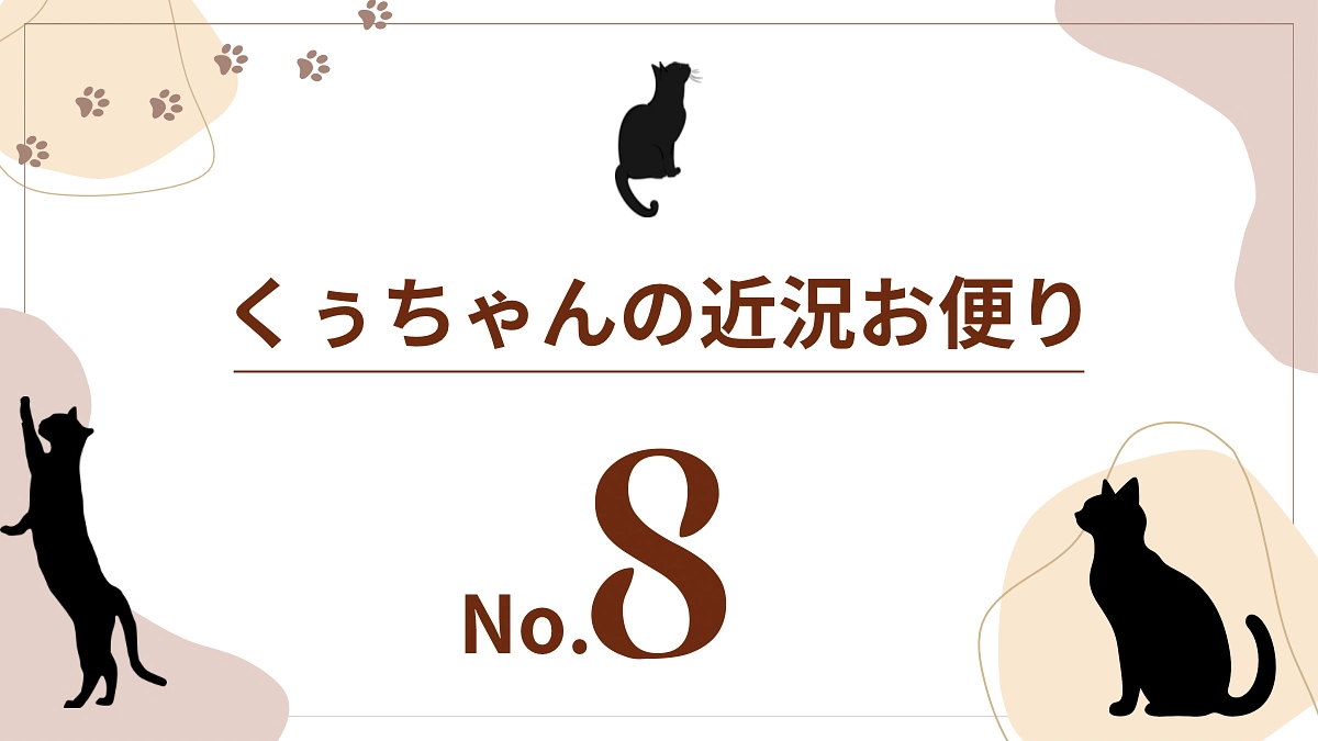 【くぅちゃんの近況おたより（8月13日）】
