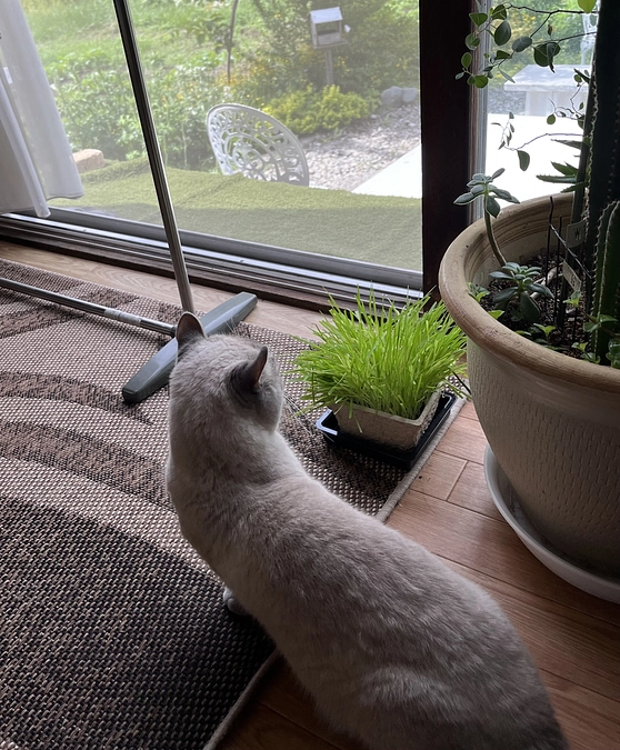 北海道も夏が近づいてきました