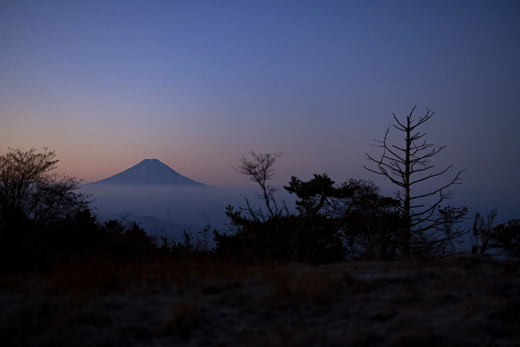 激しすぎるラストスパート・・・・・