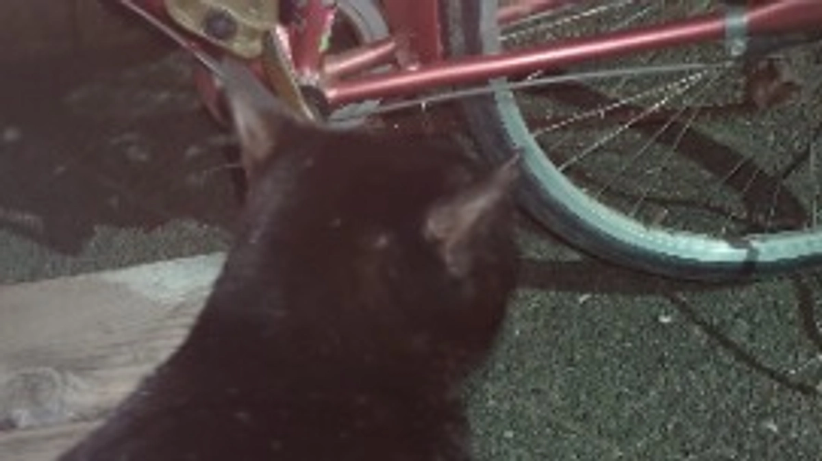 残り5日間となりました‼️