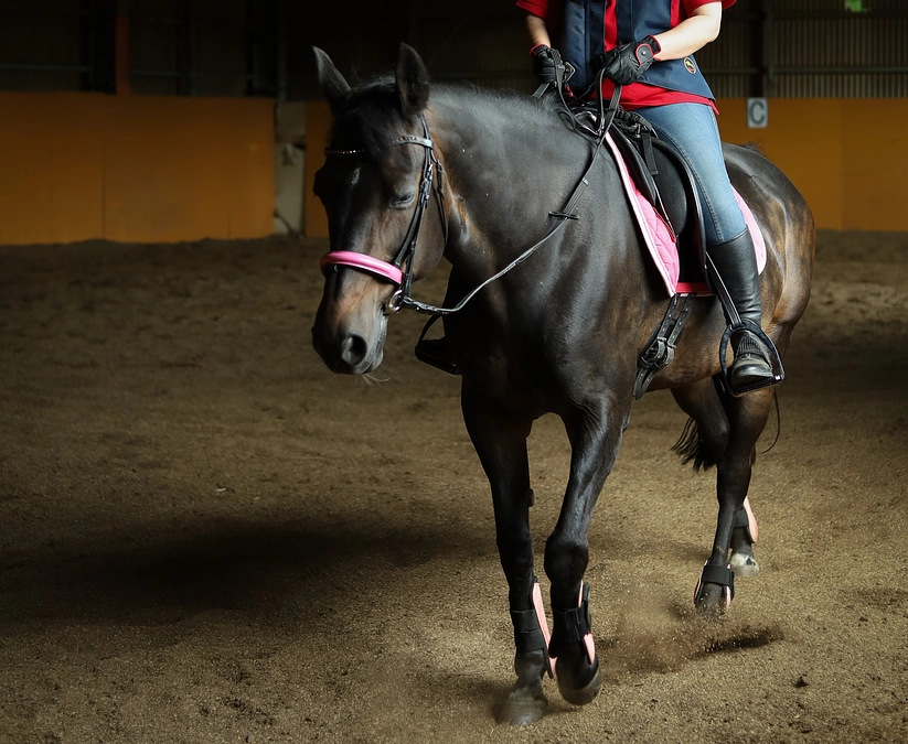 【馬たちの紹介】シルキーウォーク