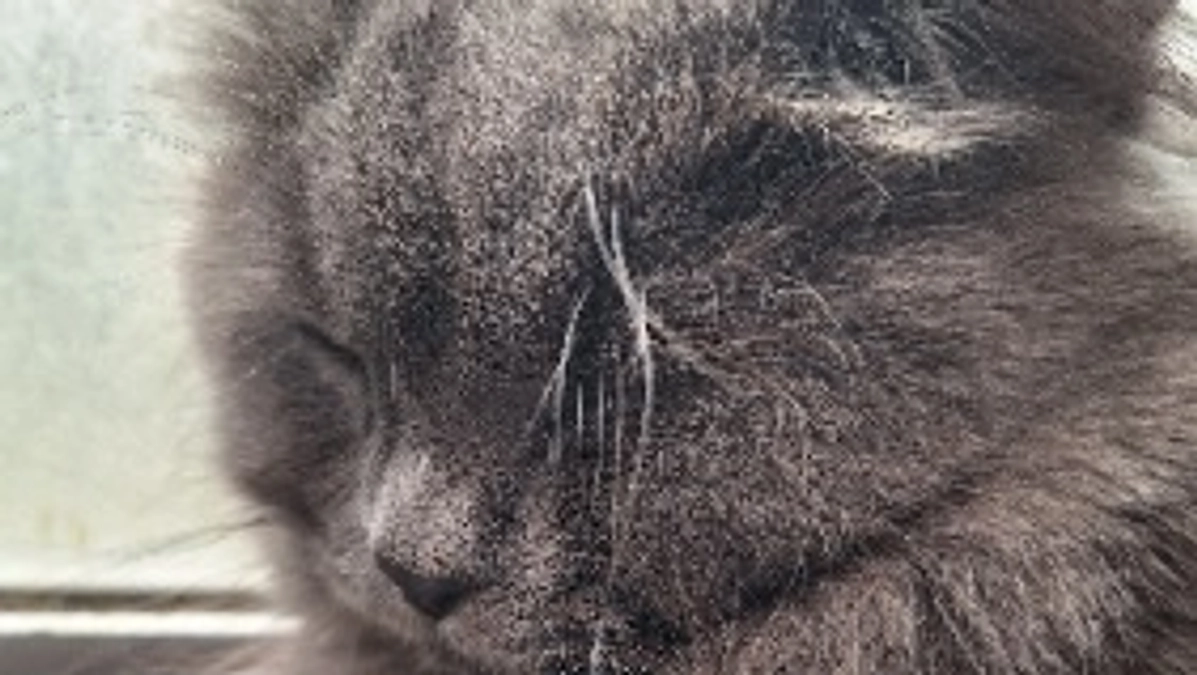 達成したと思ったら😫💦