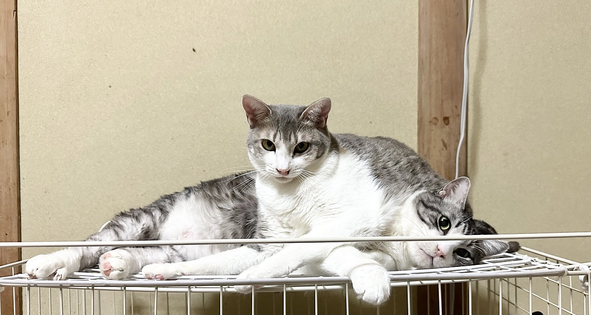 全てのご縁に感謝します