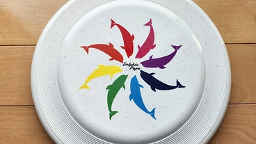 リサイクル100％フライングディスクの競技使用可能となる公認申請費 のトップ画像