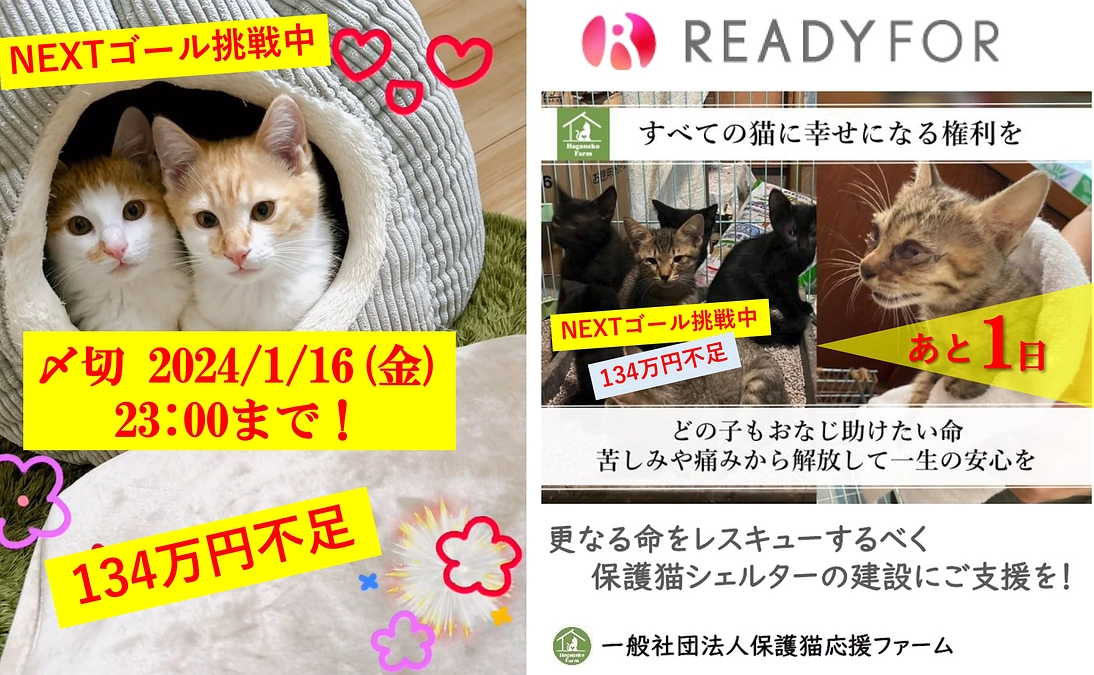 【活動報告】あと1日となりました💦