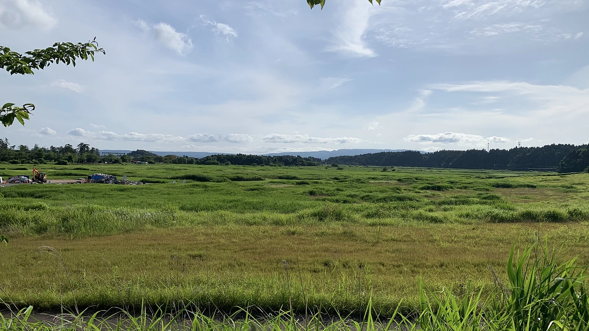 プロジェクト終了