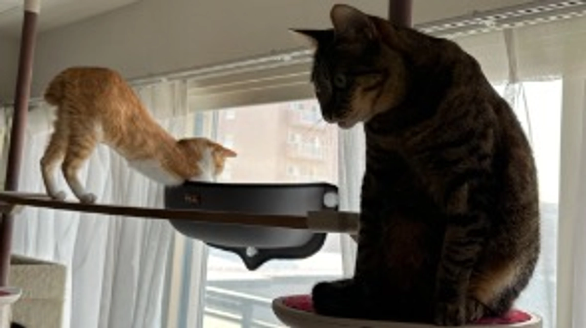 投薬62日目（プロジェクト開始22日目）