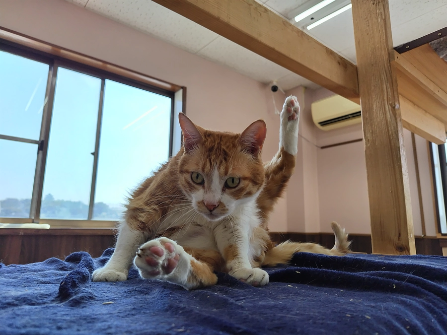 おはようございます