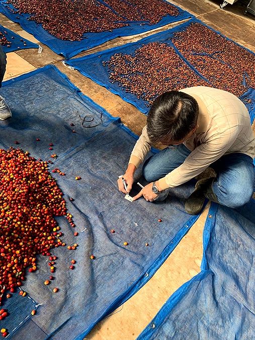 台湾珈琲農園へ行く④