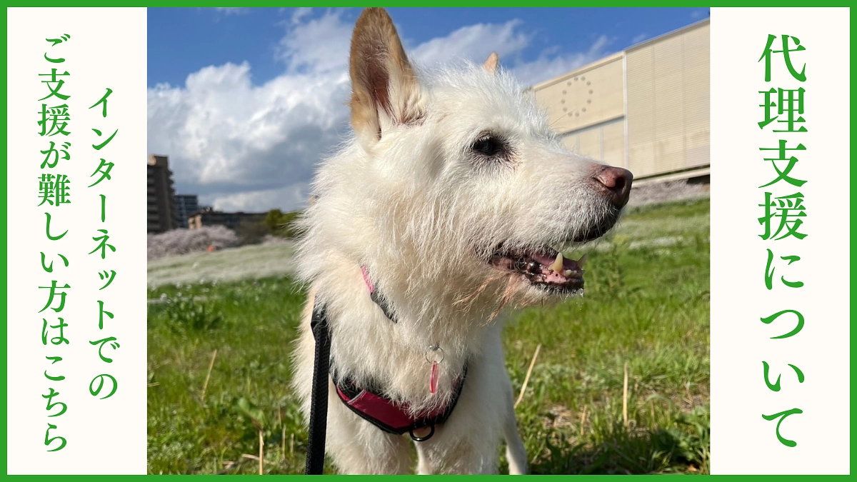 代理支援について 〜インターネットでのご支援が難しい方へ〜