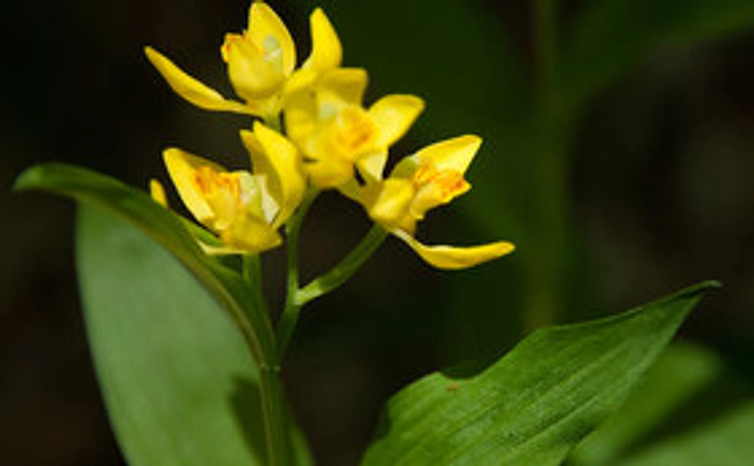 ポストカードセットをお届けします！