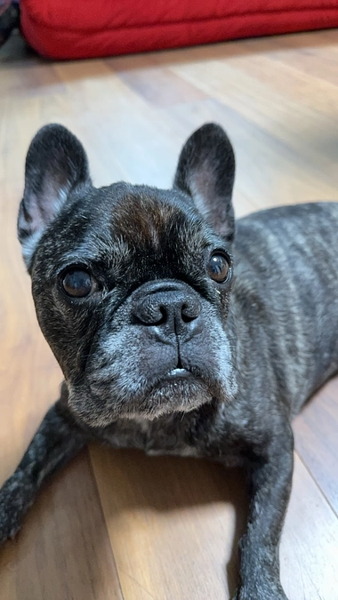 血液検査の結果のご報告です