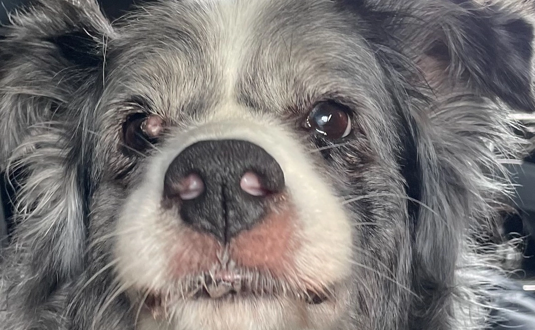 感謝のご連絡 500円