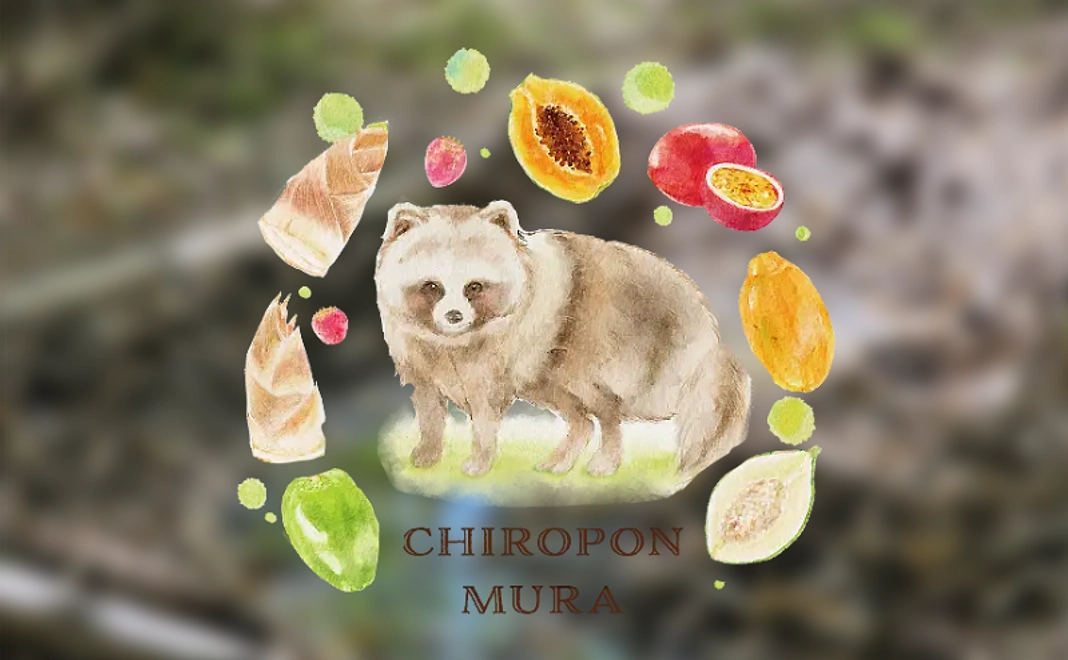 お気持ちコース