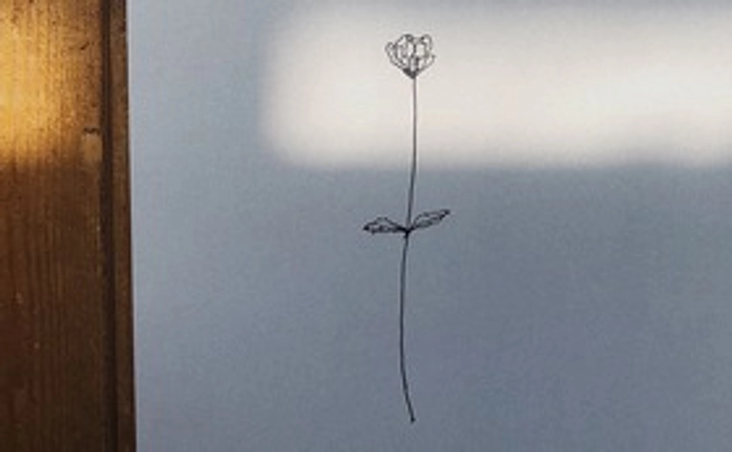 感謝の直筆のお手紙、リモート演奏・お話会参加券