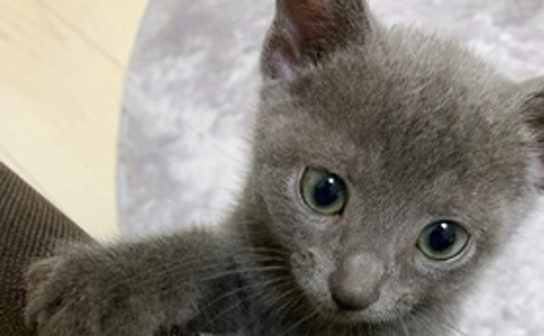 ・リターン不要・