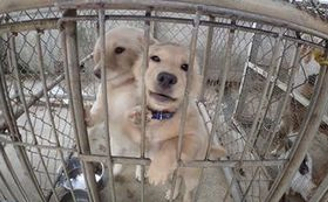 【感謝のメール＆報告メール】写真付き