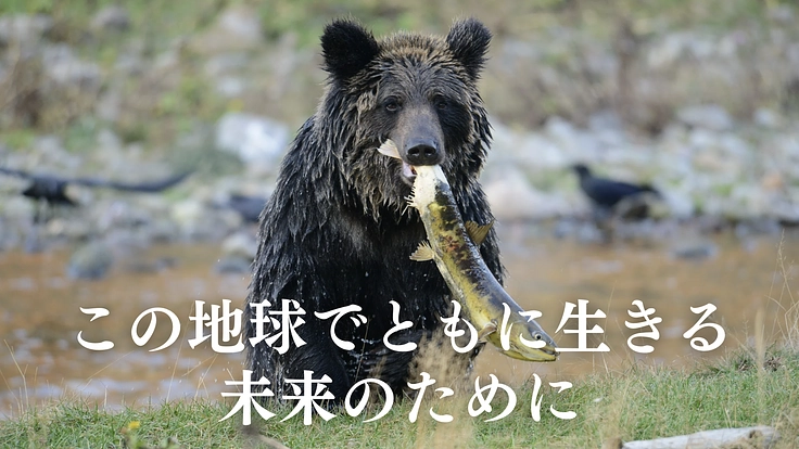 第3弾！世界のクマ研究最前線　地球の未来をクマの生態から読み解く 2枚目