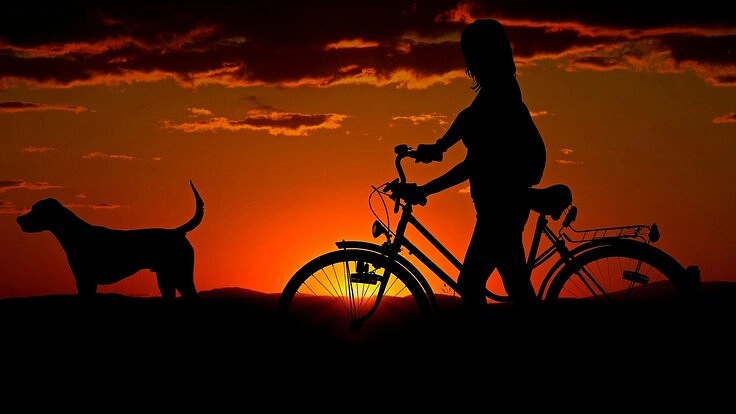 掛け「捨てない」保険の仕組みを創りたい！