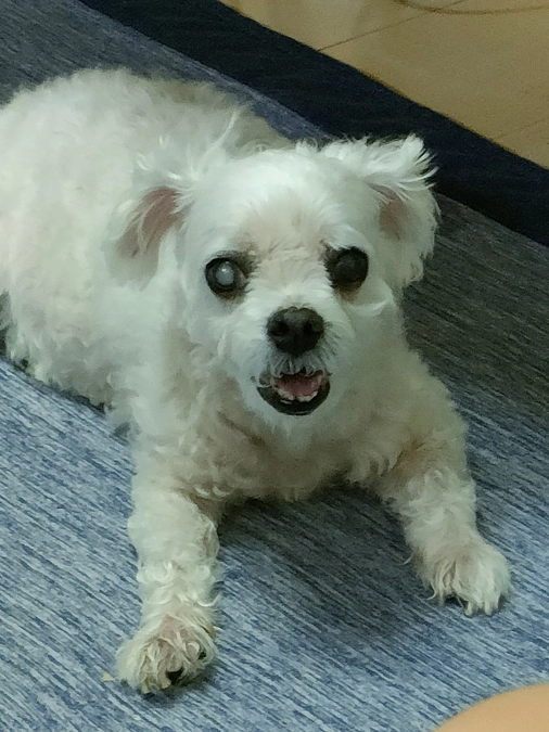 検診行ってきました