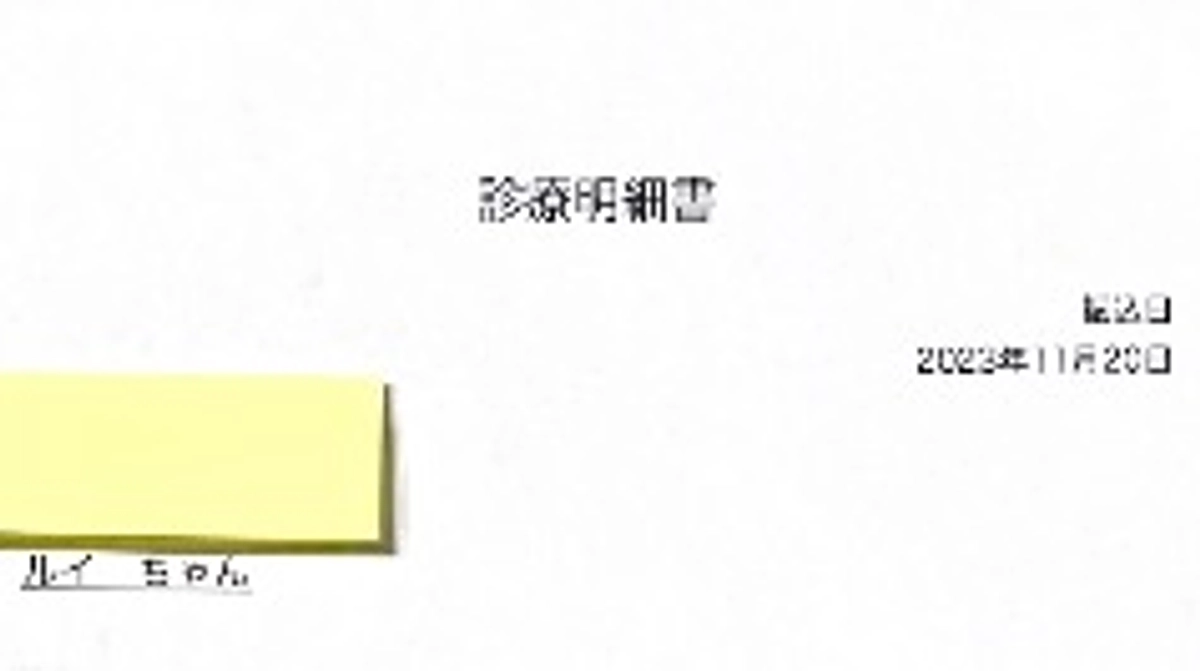 診療明細書をいただきました。詳細をお伝えします。