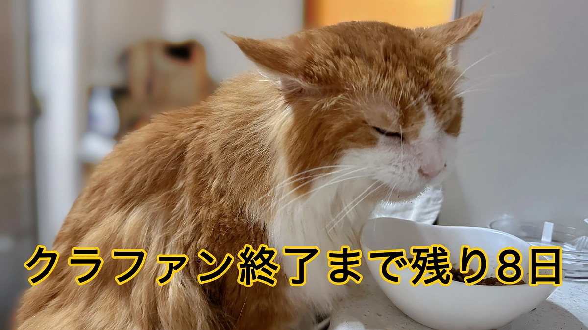 クラファン終了まで残り8日