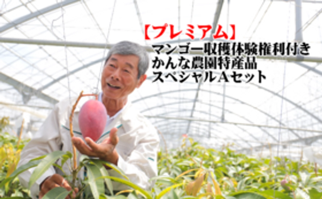 【プレミアム】☆マンゴー収穫体験権利付き☆かんな農園特産品スペシャルAセット