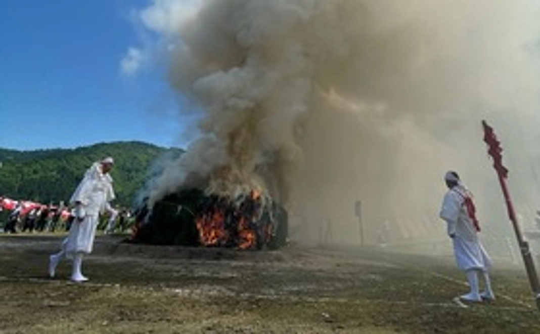 感謝のメールと活動報告