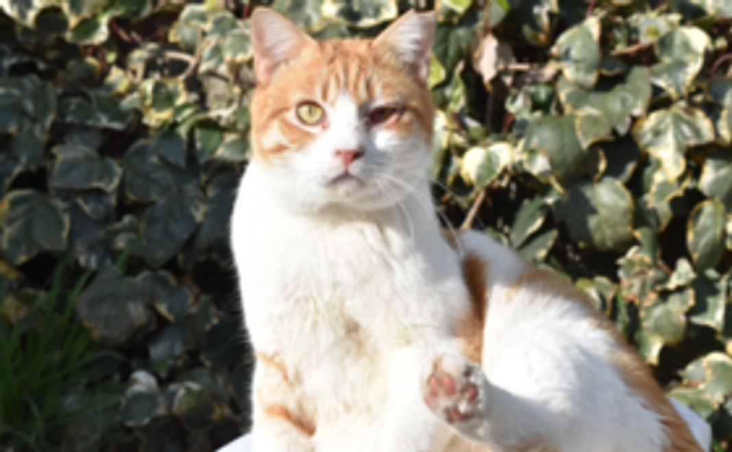 5,000円全額活動資金へ