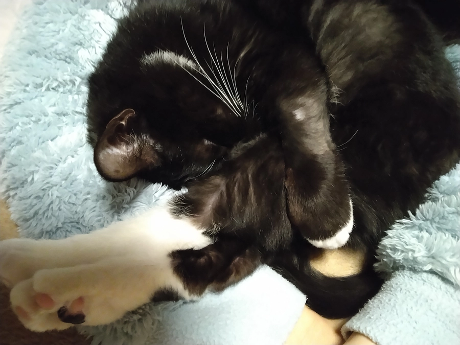 1/23はなちゃんの様子