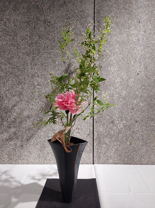 2日目の来勝者284名（2日で549名）とSNS賞のお知らせ　作品を応援しよう！