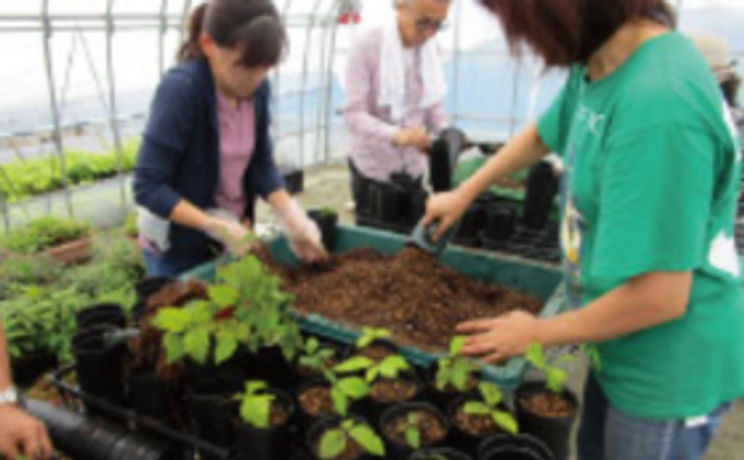 【復興記念公園を訪れられる方向け】苗木や各種体験券、ランチ券3枚