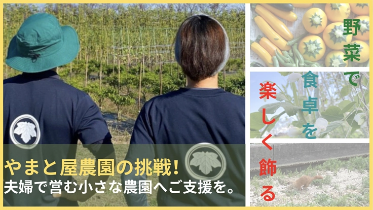 野菜で食卓を楽しく飾る！夫婦で営む小さな農園へご支援を。