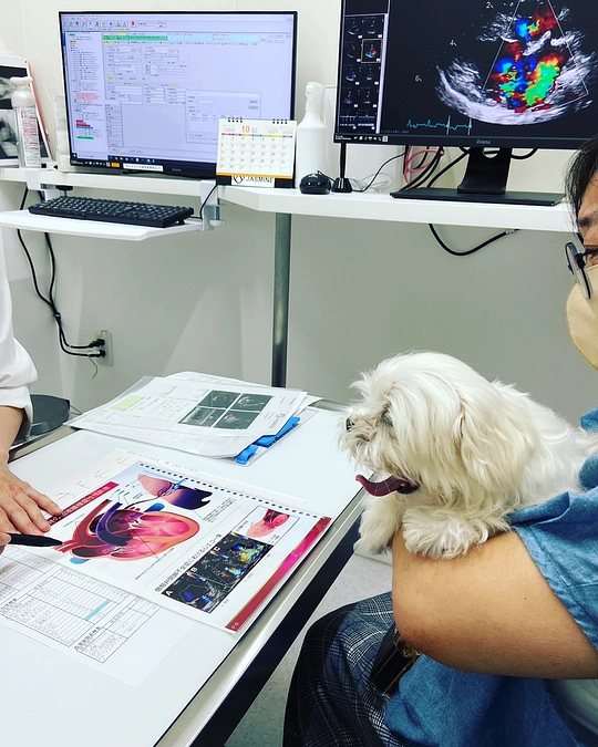 どんなに辛くても彼をあきらめられない🥲