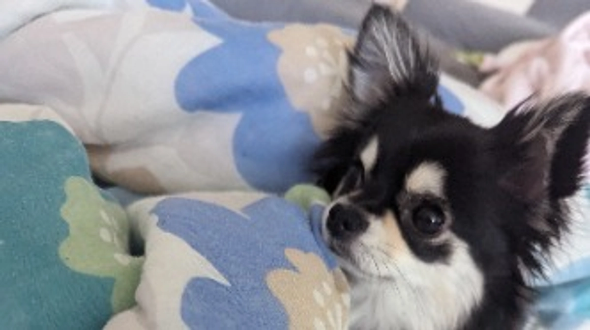 今日は昨日よりご飯食べられました✨