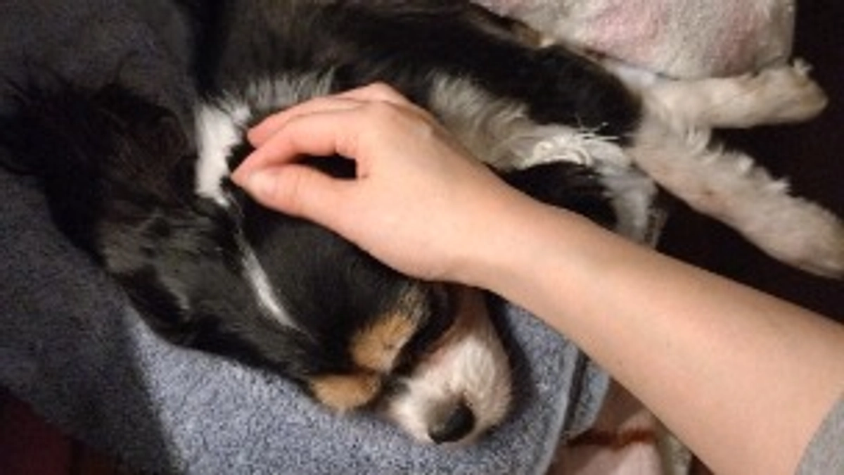 クラウドファンディング継続に関して