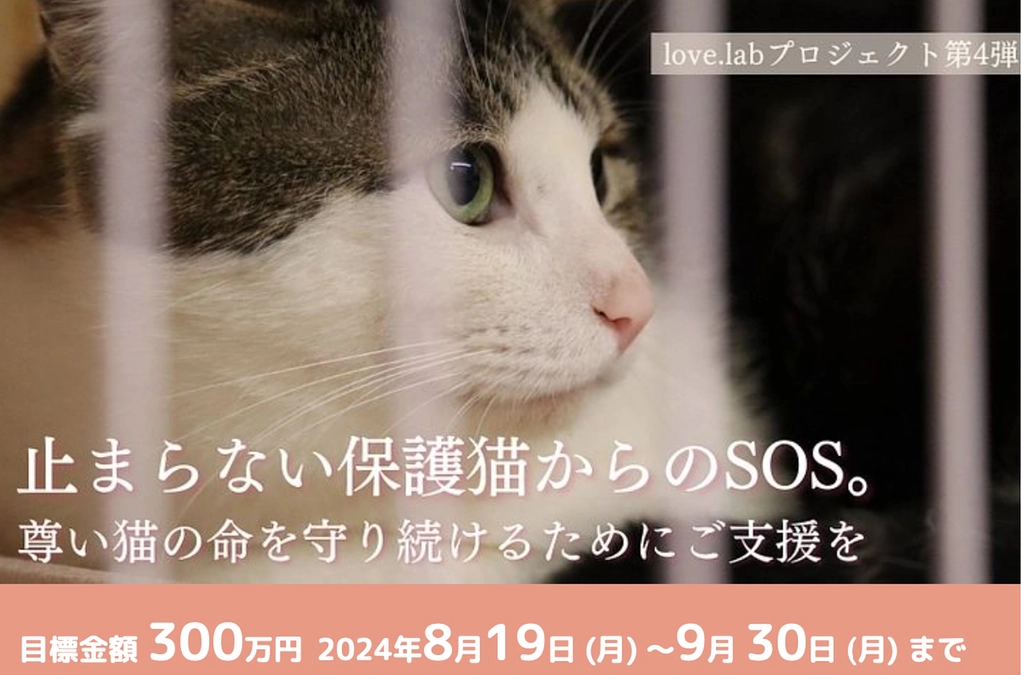 新プロジェクト　８月19日（月）8:00からスタート