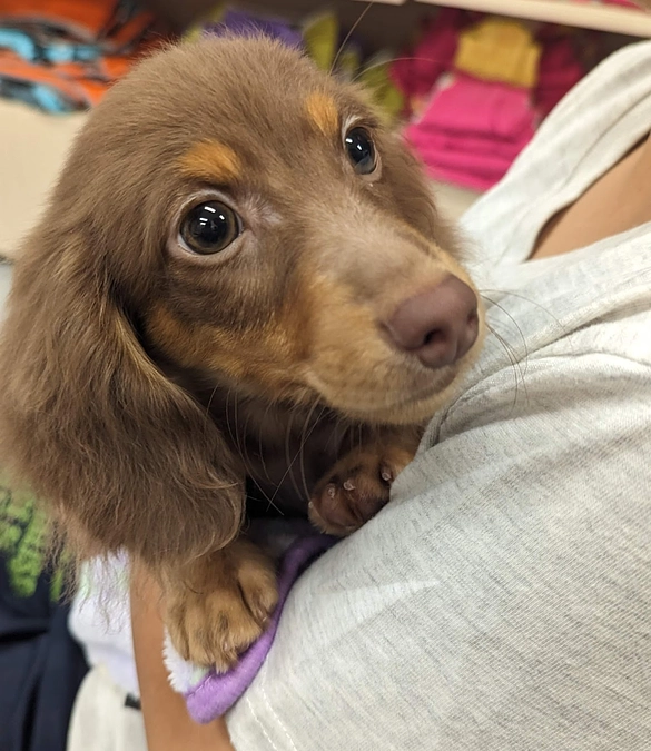 Lani、初めまして。の時には